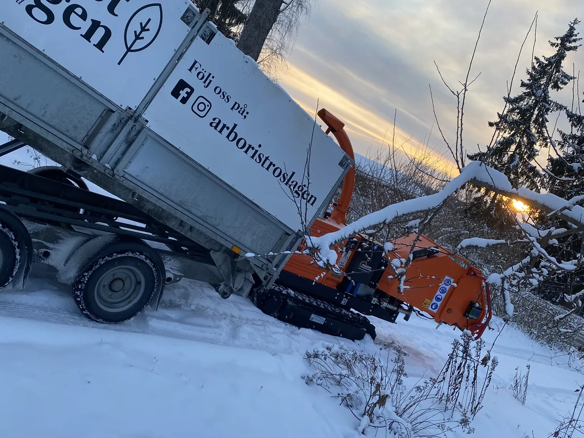 Flishugg och lastbil används för materialhantering efter trädarbete